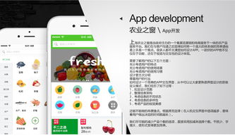 app开发app定制app制作生鲜外卖app商城app